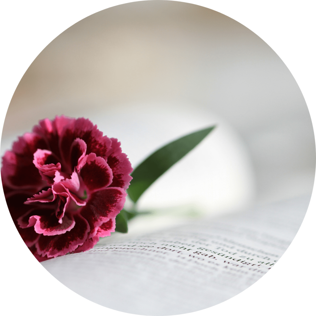 enREDate, enREDate y desconecta, Revista extremeña de ocio y entretenimiento, enredate de nueva fusión, publicidad, marketing, comunicación , soporte de papel en mérida